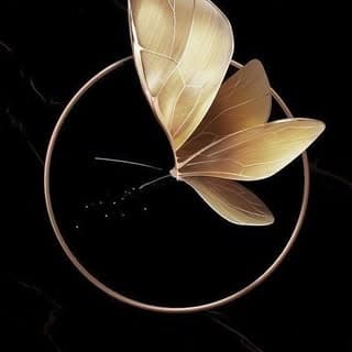 Transforme
