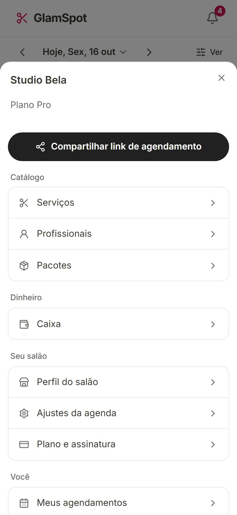 Menu Mais com Serviços, Profissionais, Pacotes, Caixa, Perfil do salão, Ajustes da agenda e Plano